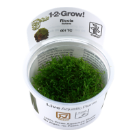 Riccia fluitans (1-2-Grow!)