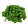 Salvinia minima (1-2-Grow!)