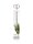 Tropica Scissors- Schere 25cm