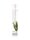 Tropica Tweezers- Pinzette 25cm
