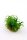 Blyxa japonica (1-2-Grow!)