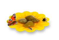 JR FARM Garden Insekten- Tränke 15g