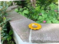 JR FARM Garden Insekten- Tränke 15g