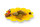 JR FARM Garden Insekten- Tränke 15g