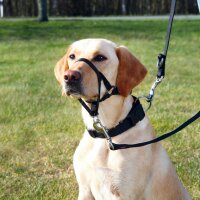 Trixie "Top Trainer" Ausbildungsgeschirr, Gr....
