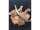 Chewies Rothirsch-Geweihstange L, 120-160g , Hunde bis 35kg