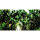 Hobby Fotorückwand Pearl River*/ Deep Delta selbsklebend 120x50cm