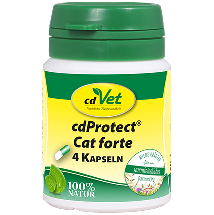 cdVet cdProtect Cat forte 4 Kapseln