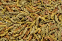 JR FARM Grainless Health Complete Zwergkaninchen 1,2kg