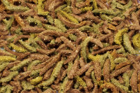 JR FARM Grainless Health Complete Meerschweinchen 600g