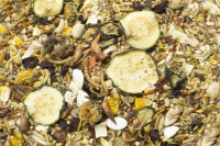 JR FARM Food Zwerghamster adult 500g