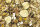 JR FARM Food Zwerghamster adult 500g
