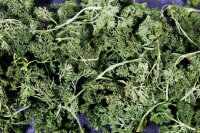JR FARM Petersilien- Salat 50g