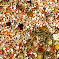 JR FARM Individual Wellensittich 1kg