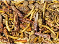 JR FARM Igel- Snack 100g