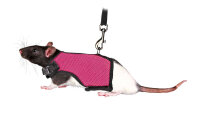 Trixie Softgeschirr (Hu: 9-12cm. Bu: 12-18cm) mit Leine...