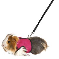 Trixie Softgeschirr (Hu: 13-17cm. Bu: 18-25cm) mit Leine...