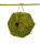 JR FARM Hay Cube 600g