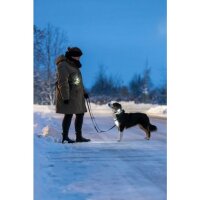 Trixie USB Flasher für Hunde Ø3 x 8cm div. Farben