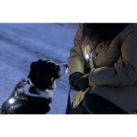 Trixie USB Flasher für Hunde Ø3 x 8cm div. Farben