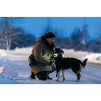 Trixie USB Flasher für Hunde Ø3 x 8cm div. Farben
