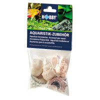 Hobby Sea Shells Set L 5 Stück