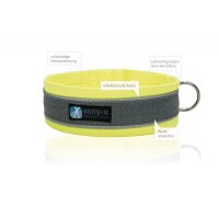 anny-x Steckhalsband Protect 6 leuchtgelb/grau