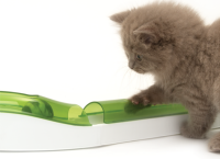 Catit Senses 2.0 Spielschiene "Super"