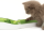 Catit Senses 2.0 Spielschiene "Super"