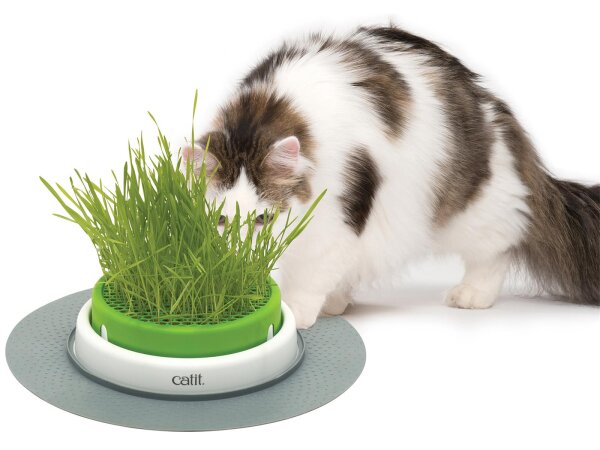 Catit Senses 2.0 Grastopf