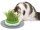 Catit Senses 2.0 Grastopf