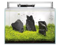 Superfish Scaper 45 (45x32x32cm)