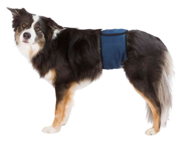Trixie Rüdenbinde, Mesh-Material,S, 29 -37cm, dunkelblau
