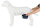 Trixie Rüdenbinde, Mesh-Material,S, 29 -37cm, dunkelblau