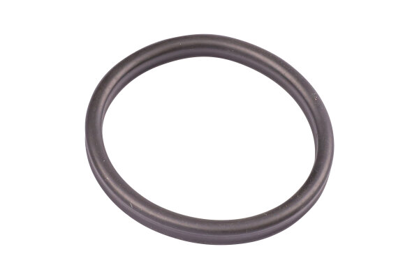 Oase Ersatz Dichtung Vorfilter BioMaster 250/350/600/850