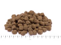 Wildborn Ente & Kartoffel 2kg