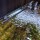 Fluval Spray Bar Kit 107/ 207/ 307/ 407