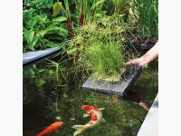 velda Floating Plant Island 35x35cm