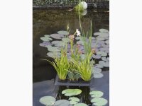 velda Floating Plant Oasis 30x40cm