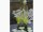 velda Floating Plant Oasis 30x40cm