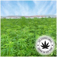 JR FARM Hanf-Stäbchen 20g