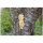 JR FARM Bark-Butter Mehlwürmer 2kg