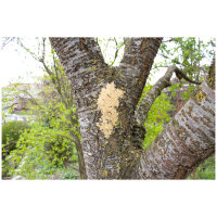 JR FARM Bark-Butter Regenwürmer 2kg
