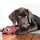 KONG Wubba Finz, pink 27cm