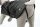 Trixie Mantel Hermy, S: 33 cm, schwarz/rot
