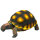 Hobby Turtle 1 (10x6x5cm)