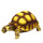 Hobby Turtle 2 (10x6x5cm)