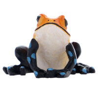 Hobby The Frog 2 (5x3,5x5cm)
