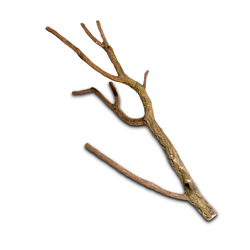 Hobby Kork Tronchos S (0- 50cm) 1 Stück