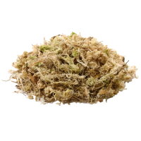 Hobby Sphagnum Moss 100g